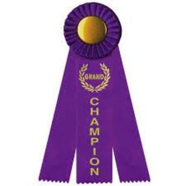 A Purple Ribbon With Gold Text